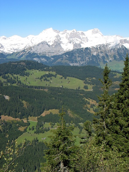 Blick auf die sanften Hügel östlich des Gamserrugg, dahinter der Alpstein
