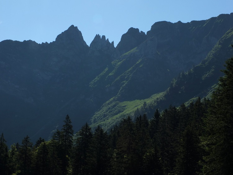 Blick nach Osten Richtung Alpstein